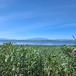 Campsite Cineric Nouveau 2026 *