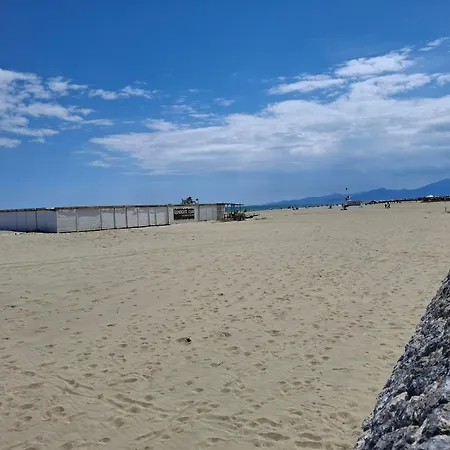 Cineric Nouveau 2026