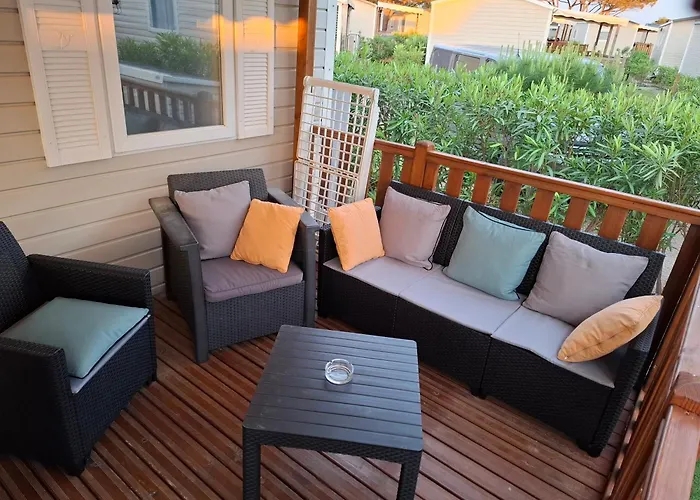 Cineric Nouveau 2026 *